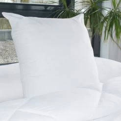 BLEU CALIN Lot De 2 Oreillers Volumineux 60x60 Cm Blanc -Magasin De Meubles De Chambre À Coucher bleu calin lot de 2 oreillers volumineux 60x60 cm blanc 3153633412249 513522