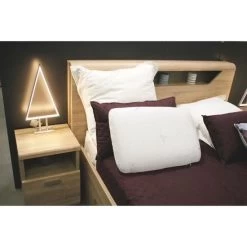 L'UNIVERS DE PAULINE Oreiller A Mémoire De Forme LEA 40x60cm -Magasin De Meubles De Chambre À Coucher l univers de pauline oreiller a memoire de forme lea 40x60cm 3701218410069 513454