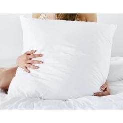 Lot De 2 Oreillers Anti-Acariens 60x60cm -Magasin De Meubles De Chambre À Coucher lot de 2 oreillers anti acariens 60x60cm 3377720098707 427400