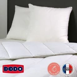 Lot De 2 Oreillers Les Alpes 60 X 60 Cm - DODO