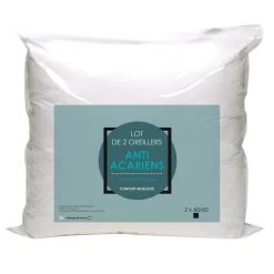 Lot De 2 Oreillers Microfibre Anti-Acariens 60x60cm
