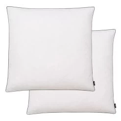 Oreiller 2 Pcs Remplissage De Duvet 80 X 80 Cm Blanc