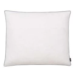 Oreiller 2 Pcs Remplissage De Duvet Léger 70 X 60 Cm Blanc -Magasin De Meubles De Chambre À Coucher oreiller 2 pcs remplissage de duvet leger 70 x 60 cm blanc 3666722818612 586576