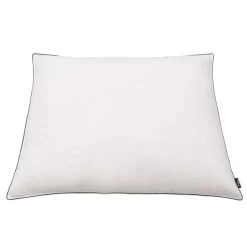 Oreiller 2 Pcs Remplissage De Duvet Léger 80 X 80 Cm Blanc -Magasin De Meubles De Chambre À Coucher oreiller 2 pcs remplissage de duvet leger 80 x 80 cm blanc 3666722520287 586574