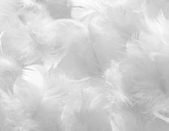 Oreiller Pour Hôtel 5 étoiles 45x70 Cm Percale Blanc Palace - Lot De 2 -Magasin De Meubles De Chambre À Coucher oreiller pour hotel 5 etoiles 45x70 cm percale blanc palace lot de 2 3701030134464 1238667